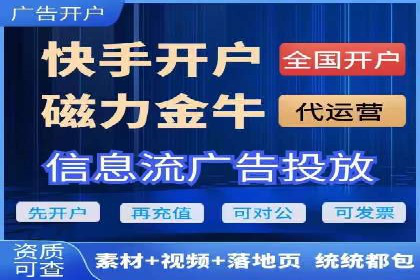 行业领先SEM托管代运营案例